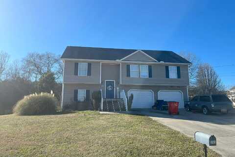 Scarlett Place, BOWDON, GA 30108