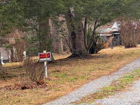 Old Bridge, TOWNSEND, TN 37882