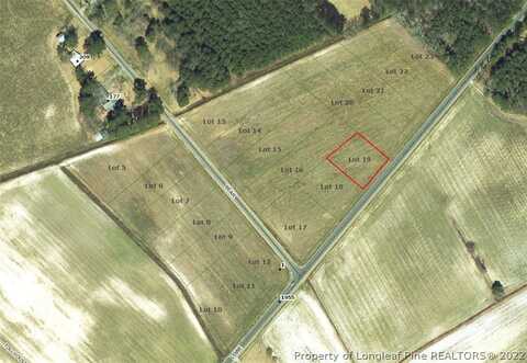 Lot 19 Lowe Road, Lumberton, NC 28360