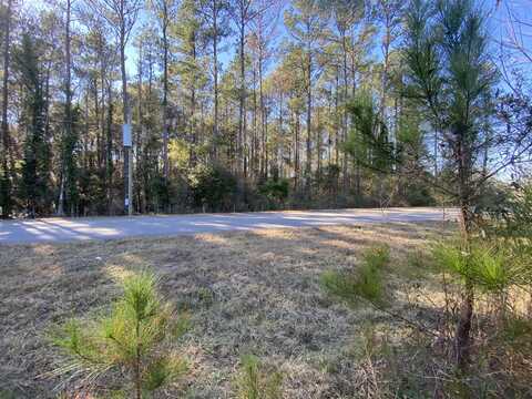 Parcel B Old Ebenezer Road, Laurel Hill, FL 32567