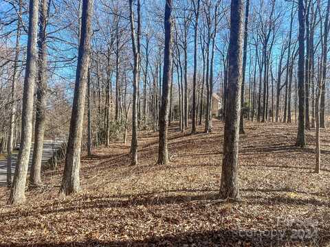 135 Corbin Mountain Road, Zirconia, NC 28790