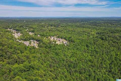 BENT CREEK DRIVE, PELHAM, AL 35043