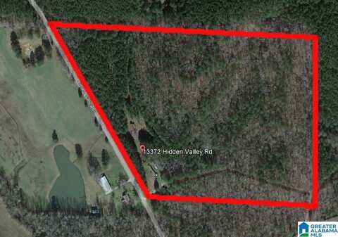 13372 HIDDEN VALLEY ROAD, COTTONDALE, AL 35453