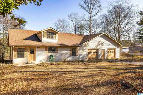 3618 SHORE DRIVE, ASHVILLE, AL 35953