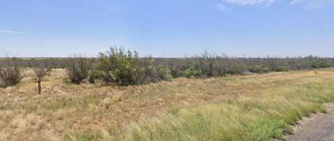 1799 FM 168, Brownfield, TX 79316