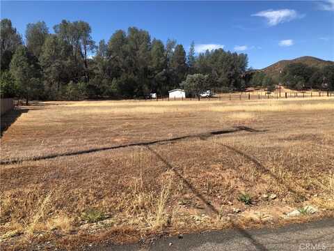 3025 Spring Valley Road, Clearlake Oaks, CA 95423