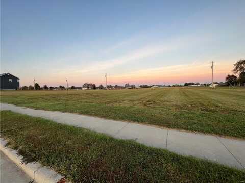 0 Lot 20 Sycamore Road, Perryville, MO 63775