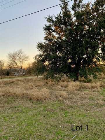 305 N 4th St. (Lot 1), Skidmore, TX 78389