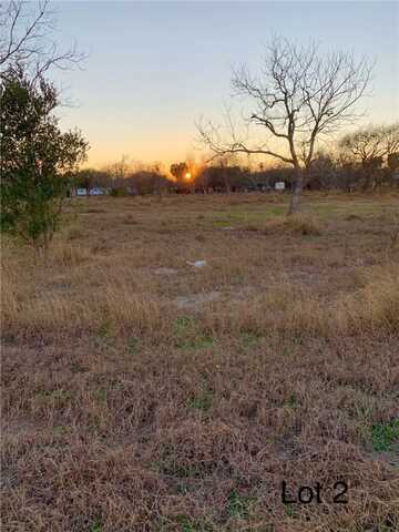 309 N 4th Street, Skidmore, TX 78389