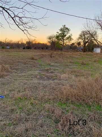 313 N 4th St, Skidmore, TX 78389