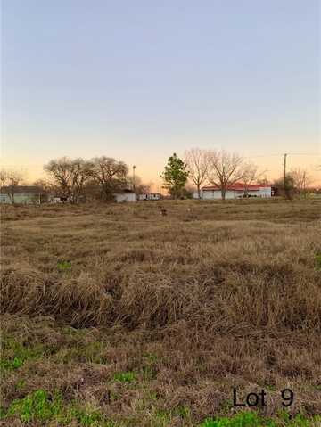 411 E Walton Street, Skidmore, TX 78389