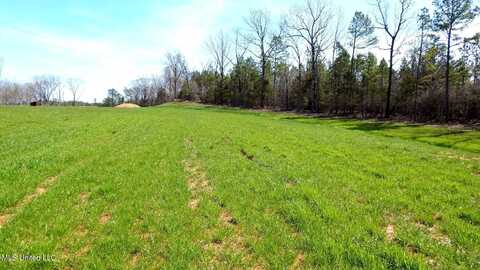 5 Graysport Crossing Road, Gore Springs, MS 38929