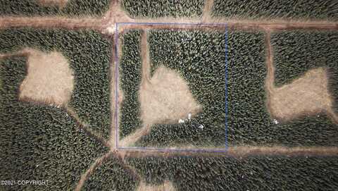 Lot 8 Boreal Forest Subdivision, Tok, AK 99780