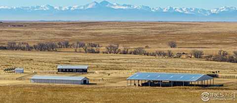 46010 County Road 77 Cir, Briggsdale, CO 80611