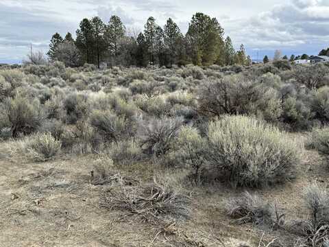 Elm Lane, Christmas Valley, OR 97641