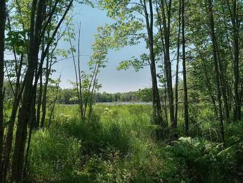 Lot #3 Page Road, Glenburn, ME 04401