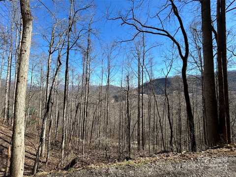 Lot 38 Eagles Ridge Road, Dillsboro, NC 28725