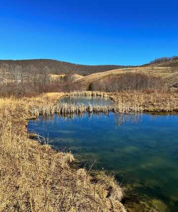 BIG MOUNTAIN ROAD, RUPERT, WV 25984