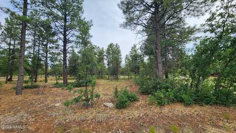 2940 Roundup Circle, Happy Jack, AZ 86024