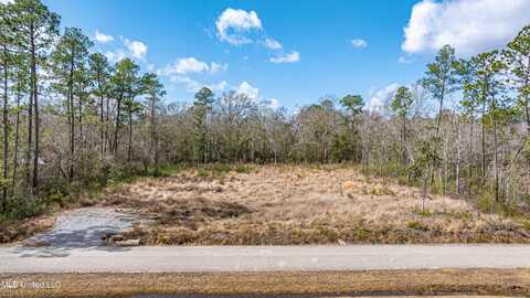S Country Wood Drive, Gulfport, MS 39503