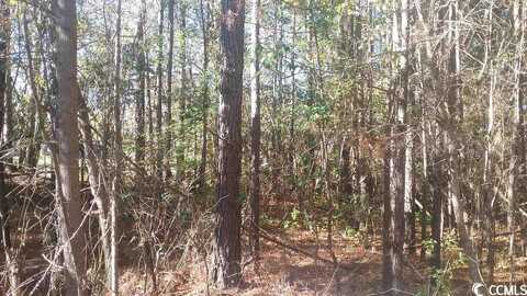 TBD Harris Landing Rd., Georgetown, SC 29440