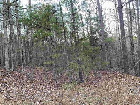 69.40 Acres Mountain Park Road, Shirley, AR 72153