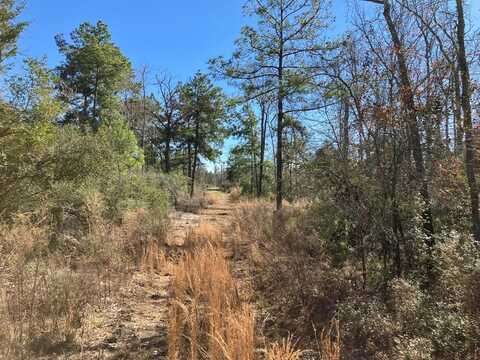 220 CR 2926, Buffalo, TX 75831