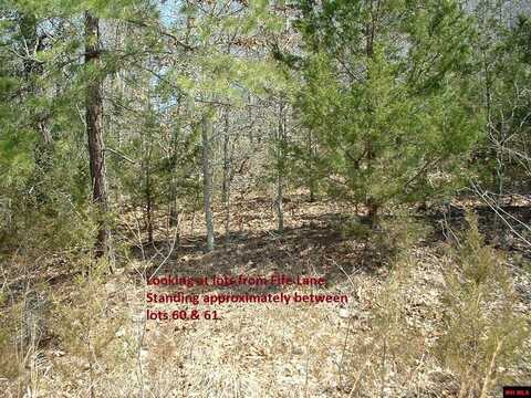 Lots 59-63 VOTAW DRIVE, Mountain Home, AR 72653