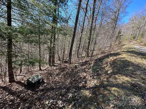 936 Sunnyside Drive lot: 27, Marshall, NC 28753