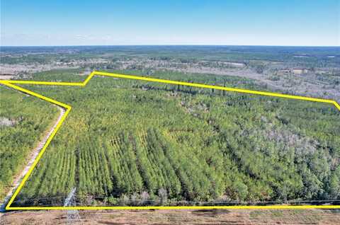 Tract 2 Dewey Road, Nahunta, GA 31553