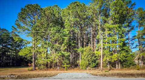 1.13 Acres Hwy 41, Trenton, NC 28585