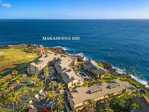 1661 PEE RD, KOLOA, HI 96756