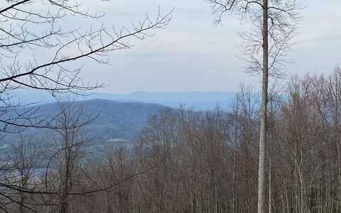 Mason Way, Brasstown, NC 28902