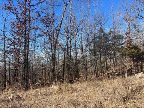 TBD Lone Oak Road, Williford, AR 72482