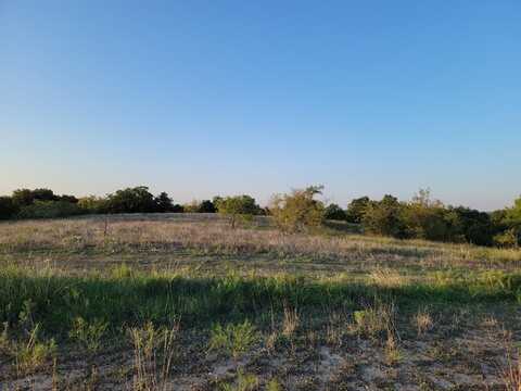 163 Pecan Grove Drive, Boyd, TX 76023