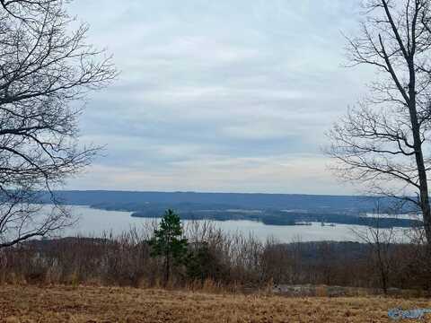 12 Acres Guffey Road, Scottsboro, AL 35769