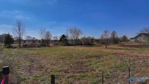 Tract 4 Coleman Road, New Market, AL 35761