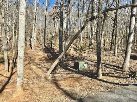 1.83 Ac Hague Drive, Columbus, NC 28722