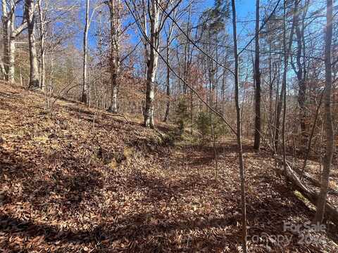 Cross Creek Drive, Rutherfordton, NC 28139