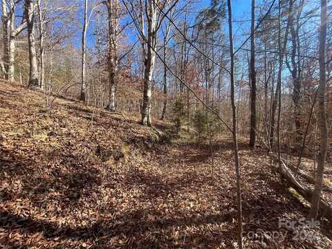 Tbd Cross Creek Drive, Rutherfordton, NC 28139