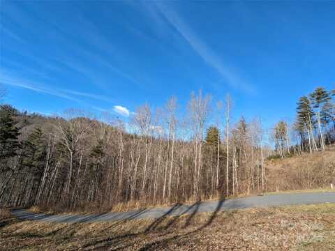 27 Bent Branch Lane, Asheville, NC 28804