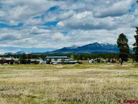 77 W McCabe Street, Pagosa Springs, CO 81147