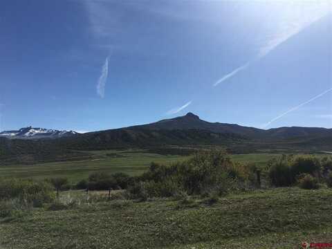 8896 8250 Road, Crawford, CO 81415