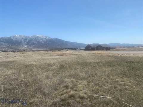 Lot 9 S Wyoming Street, Butte, MT 59701