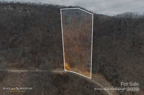999 High Rock View Drive, Canton, NC 28716
