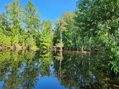 170+ Acres on Coleman Rd, Fort Gaines, GA 39851