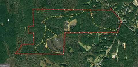 250+/- AC Bohannon Road, Grantville, GA 30220