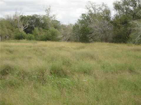 Tbd Vogelsang Lane, Mathis, TX 78022