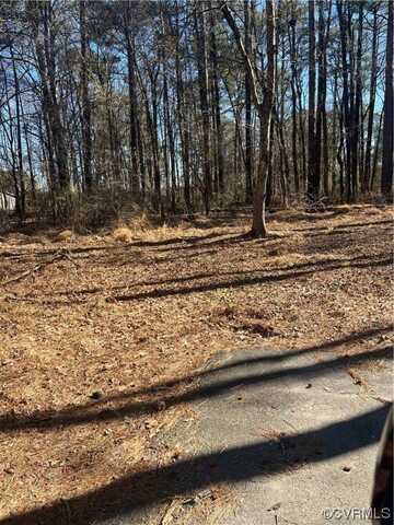 Middle Street, Waverly, VA 23890