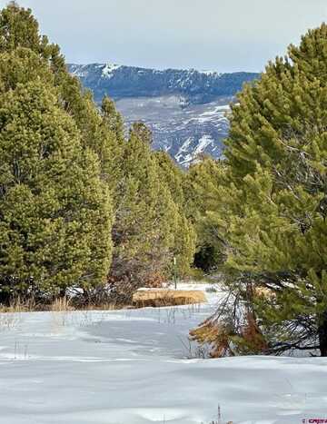 TBD Badger North Trail, Ridgway, CO 81432